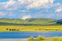 Inner Mongolia Tour: 5-day 4-night · Private tours · Inner Mongolia + Hulunbuir + Inner Mongolia Ergun National Wetland Park + Moergle River Scenic Area