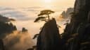 China Huangshan Scenic Area Tour: 4-day 3-night · Private Tour · Huangshan Scenic Area+Hongcun Village+Tangmo Village