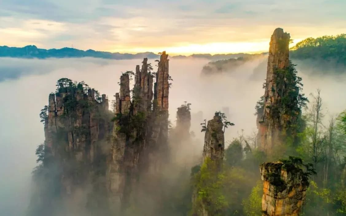 Zhangjiajie National Forest Park National Day 2026: Tickets, Reservations, Opening Hours and Travel Tips