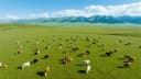 Kashgar Tour: 4-day 3-night · Private Tour · China+Xinjiang+Kashgar