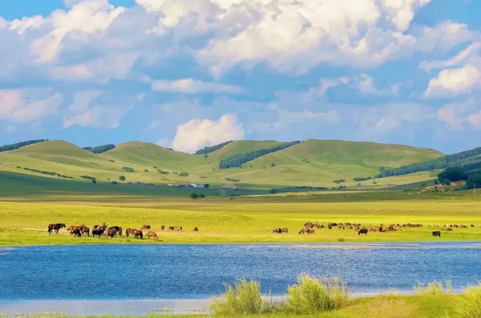 Inner Mongolia Tour: 5-day 4-night · Private tours · Inner Mongolia + Hulunbuir + Inner Mongolia Ergun National Wetland Park + Moergle River Scenic Area