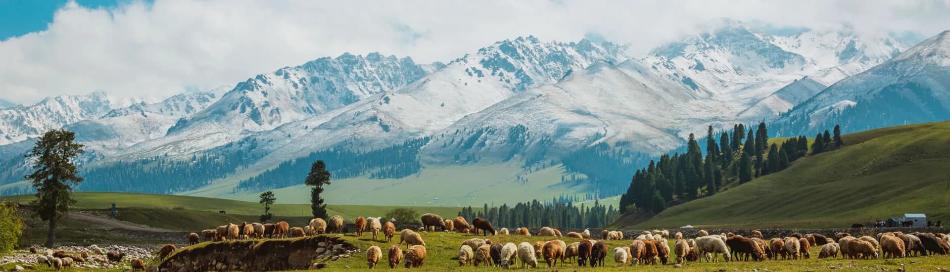 Xinjiang