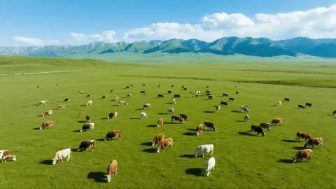 Kashgar Tour: 4-day 3-night · Private Tour · China+Xinjiang+Kashgar