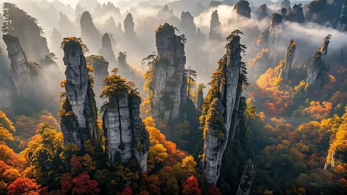 China Zhangjiajie Travel Agents: 3-day 2-night · Private Tour · Zhangjiajie National Forest Park