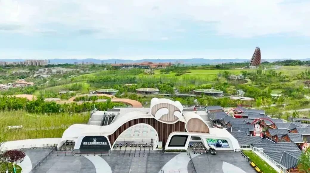 Chengdu Panda Base West Gate Guide: An Easy Panda Viewing Route