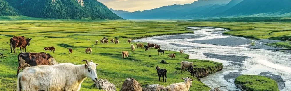 2-day 1-nightPrivate TourChina+Xinjiang+Kashgar+The Kalakul Lake