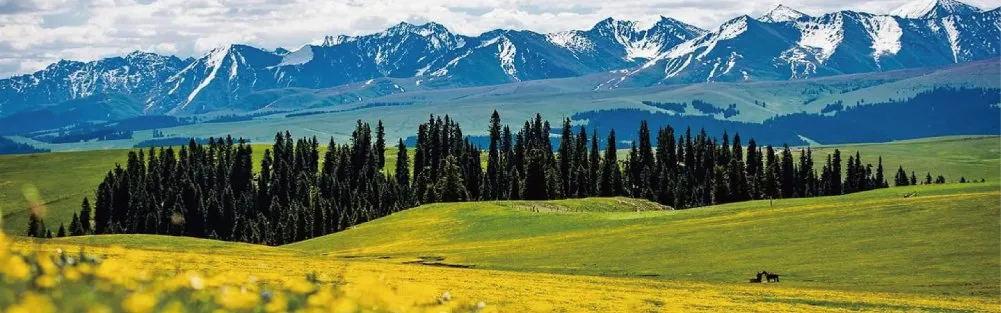 5-day 4-nightPrivate TourChina+Xinjiang+Kashgar