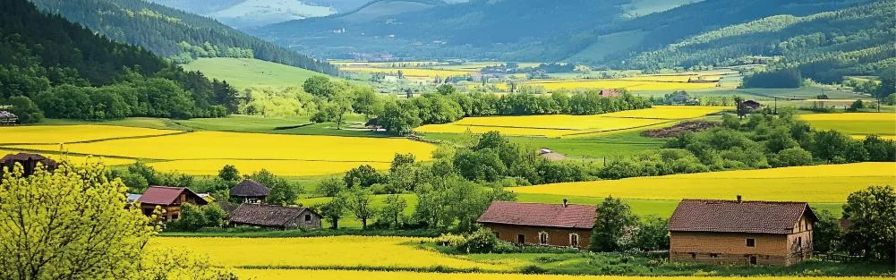 2-day 1-night·Private Tour·Lijiang+Shangri-La Tiger Leaping Gorge